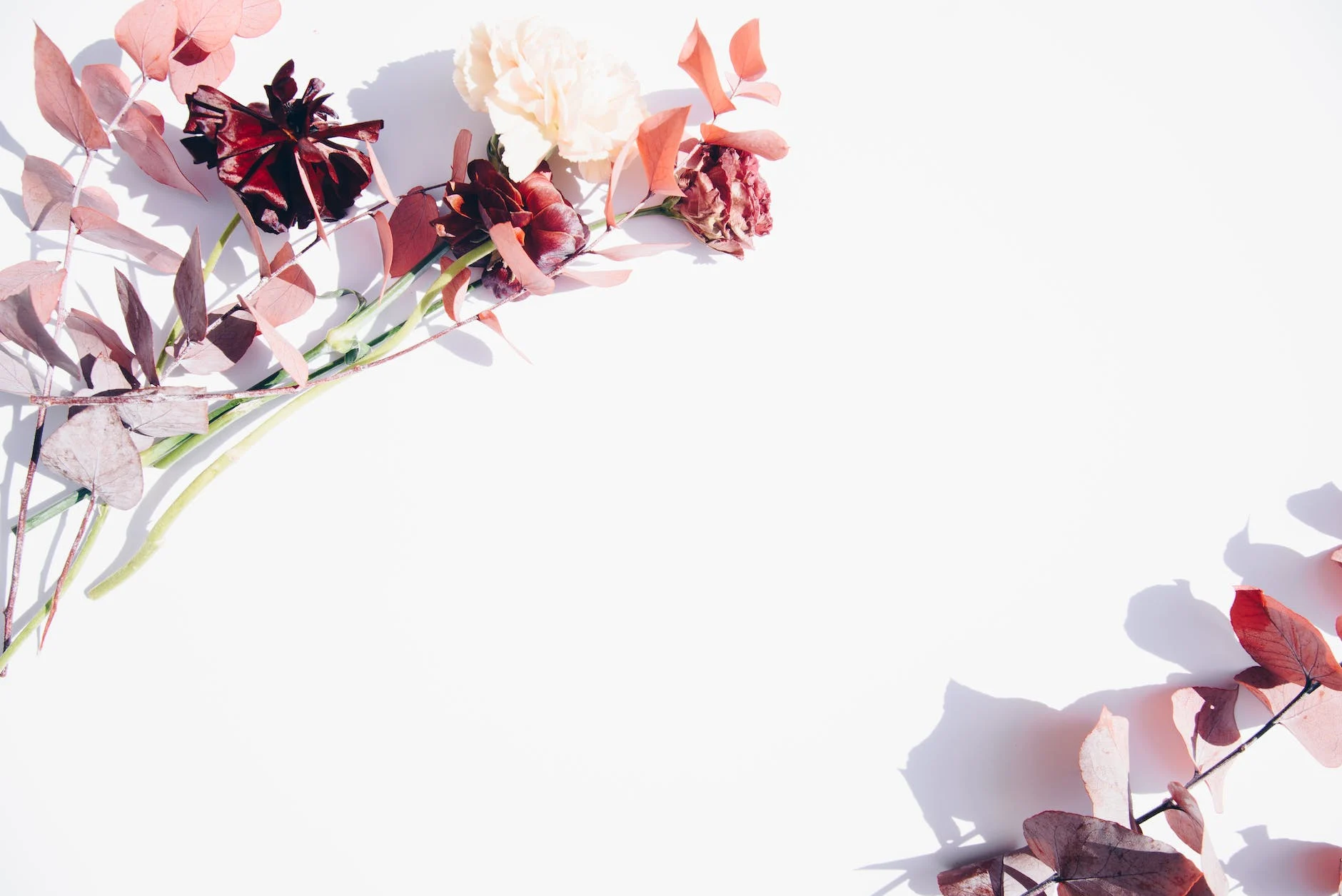 how to host your first dinner party