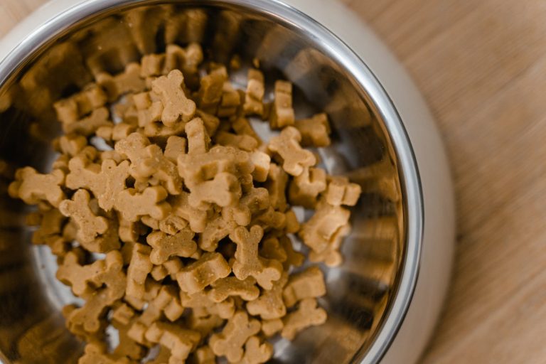 is purina one a good dog food