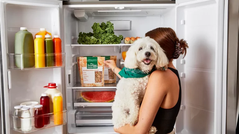 can you freeze fresh pet dog food