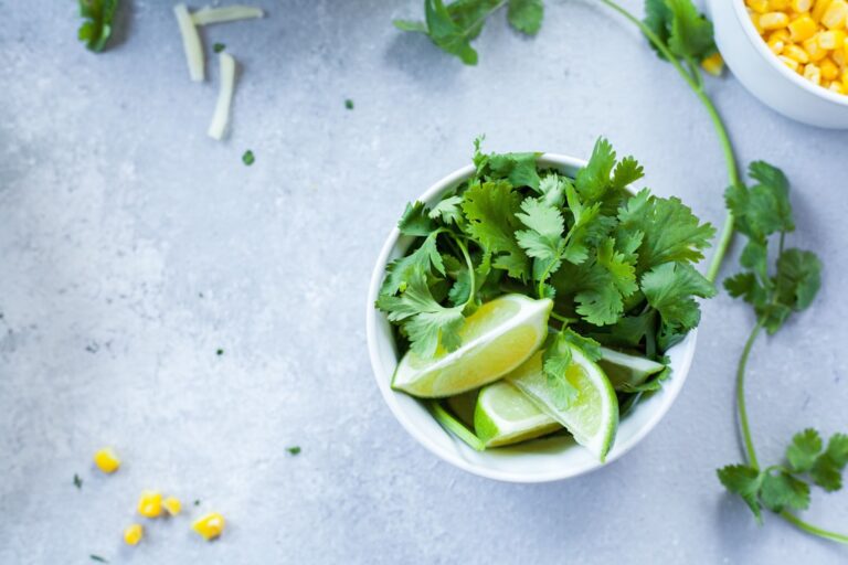 Photo Food ingredients