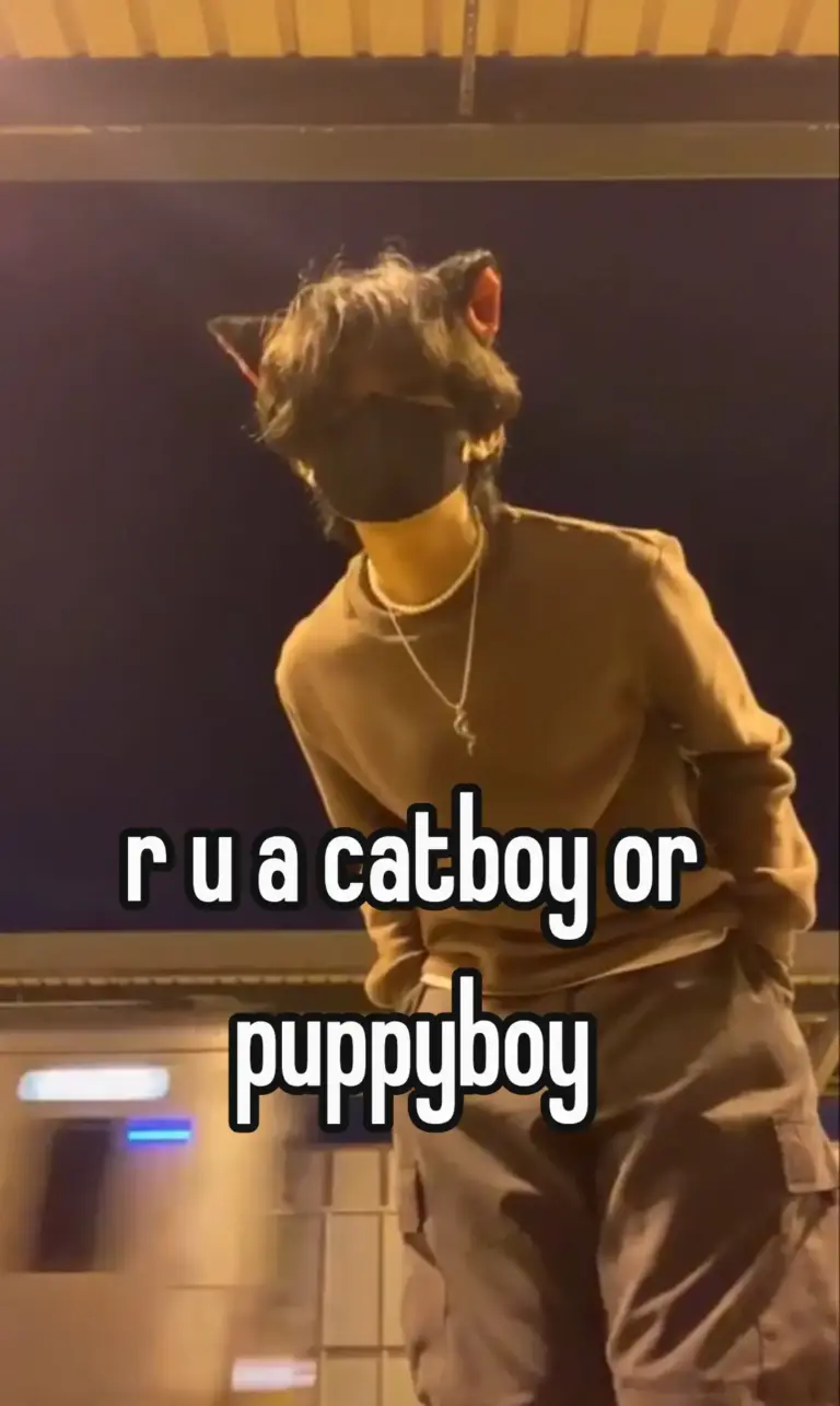 r u a catboy or puppyboy
